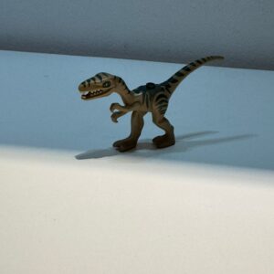 Dinosaurier Coleophysis mit dunkelagrün Streifen