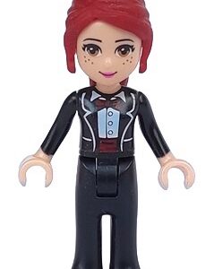 LEGO® friends frnd 0041