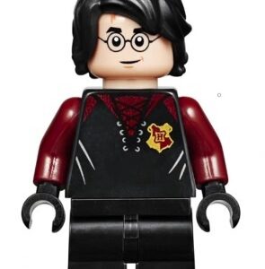 LEGO® Harry Potter hp176