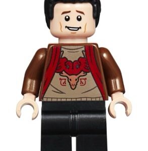 LEGO® Harry Potter hp177